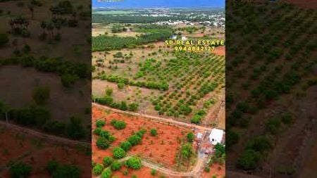 🌴8 ACRE FOR SALE | 8 ஏக்கர் மாந்தோப்பு விற்பனைக்கு#agriculture #realestate #best #landforsale #land