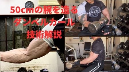 50cmの腕を造る筋トレ！ダンベルカール技術解説#motivation#筋トレ#筋肉