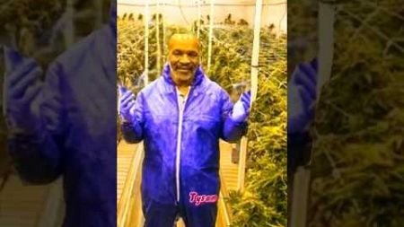 🏆Mike Tyson: Marihuana Geschäft❗#miketyson #ironmike #motivation