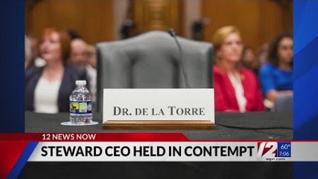 Senate approves criminal contempt resolution against Steward Health Care CEO