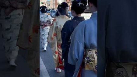 【櫛祭】Japan Travel Satisfaction⁉️Kyoto Must Visit✨ 京都外国人観光客‼️写真撮影大満足‼️#shortsfeed #shorts #舞妓#着物