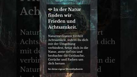 🌿 Naturmeditation fördert Achtsamkeit, indem du dich mit deiner Umgebung verbindest🌞