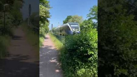 Gastaufnahme: RheinRuhrBahn in der Umgebung von Dorsten