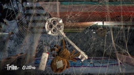 Dona Aranha 🗝️ Tribo da Periferia (6º Último)