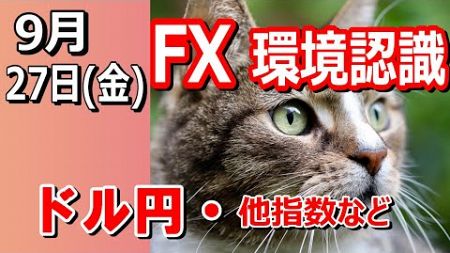 【TAKA FX】ドル円他各通貨の環境認識解説。各種指数、GOLDなど　9月27日(金)