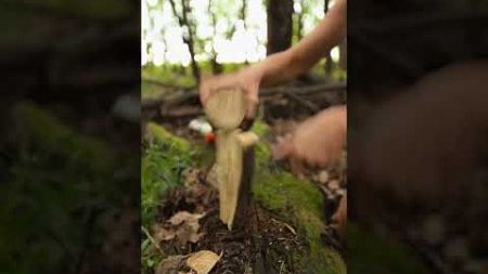 #bushcraft #forest #survival #witch #camping #hack #diy #skills #outdoors #tourism #viralshort #duet