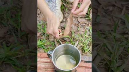 Jungle Skills: Making Tea from Available Items SIMPLE #shorts #camping #survival #bushcraft