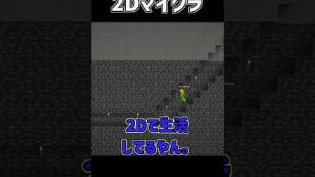 【Minecraft】マイクラを2Dと思ってる奴 #shorts #マイクラ #マインクラフト #minecraft