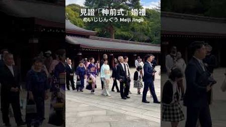 明治神宮可遇不可求 「神前式」日式婚禮 ／So lucky~~I actually witnessed it &quot;God-style&quot; wedding! ／めいじじんぐう ／Meiji Jingū