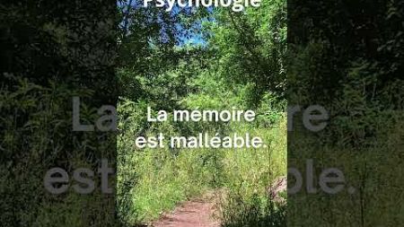 psychologie #motivation #inspiration