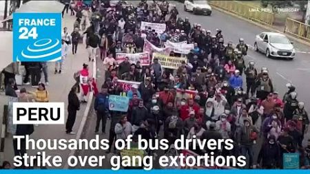 In Peru, thousands of bus drivers strike over gang extortions • FRANCE 24 English