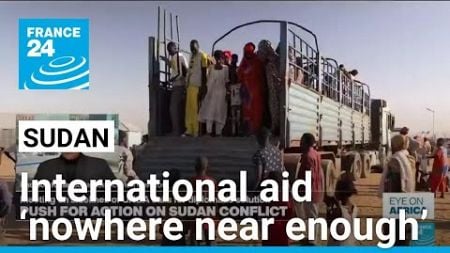 International aid for Sudan ‘nowhere near enough’ • FRANCE 24 English