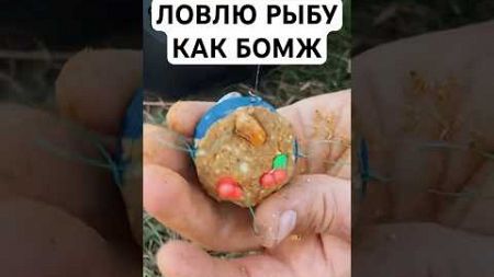 КАК ПОЙМАТЬ РЫБУ БЕЗ ДЕНЕГ? #survival #camping #lifehacks