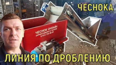 ДРОБЛЕНИЕ ЧЕСНОКА ПРОИЗВОДИТЕЛЬНОСТЬ 1 ТОННА В СМЕНУ!!!