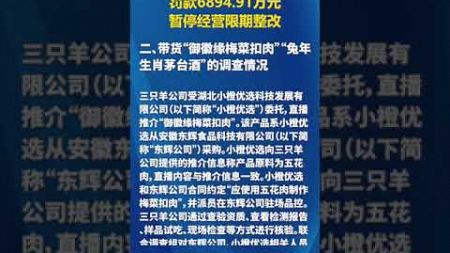 合肥通报三只羊调查情况构成虚假的商业宣传罚款6894 91万元暂停经营限期整改