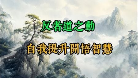 反者道之动：自我提升，开悟智慧