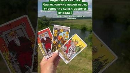 Три карты на благополучие семьи! Скринь #таро #топ #tarot #таролог