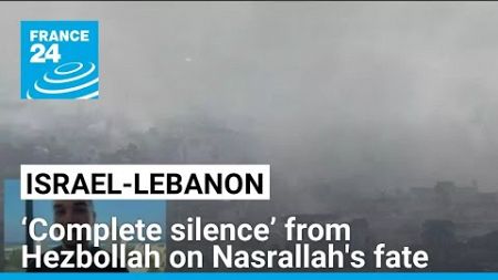 ‘Complete silence’ from Hezbollah regarding Nasrallah&#39;s fate • FRANCE 24 English