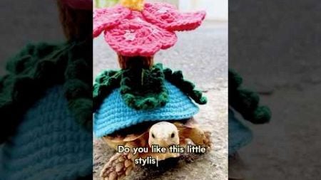 A disfigured turtle #love #animals #cute #shorts #fashion