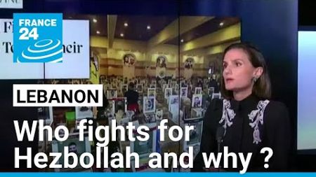 Who fights for Hezbollah and why? Dalal Mawad speaks to FRANCE 24 • FRANCE 24 English