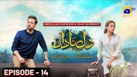 Dil-e-Nadan Episode 14 - [Eng Sub] - Mikaal Zulfiqar - Amar Khan - Ali Abbas - 29th September 2024