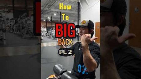 another edition of how to big your back 101‼️#fitness #gymlife #gym #fyp #motivation #gymmotivation