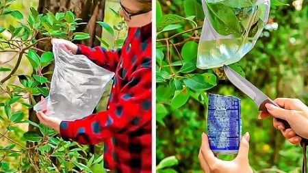 Smart Survival Hacks In Case You Get Stuck In The Wild