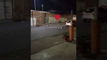 Siguen balaceras en culiacan #usa #mexico #videosvirales #videos #entrepreneur #culiacan #paz #viral