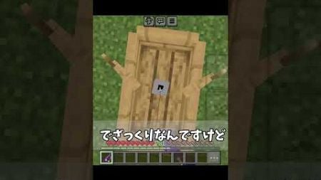 空の飛び方#minecraft #マインクラフト統合版 #shorts #飛ぶぞ