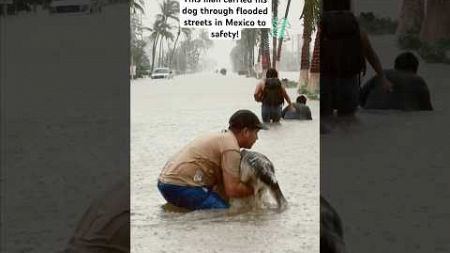 Man Carries Dog Through Flooded Streets of Acapulco Guerrero, Mexico #HumanKindness #Love