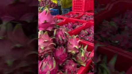 #hyderabad #fruit #farming #pomegranate #marketing #today#agriculture #dragonfruit #indvsban#ronaldo