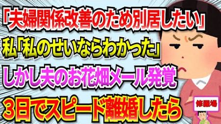 【修羅場】夫『夫婦の関係改善の為に別居したい』→私『悪いのは私なんだから仕方ないわね…』→夫のお花畑メール発覚し発覚から３日でスピード離婚した結果 #2ch #修羅場 #離婚準備