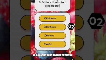 #allgemeinwissen 097 XL #quiz #bildung #deutsch #fakten #lernen #fragen #quiztime #challenge #wissen