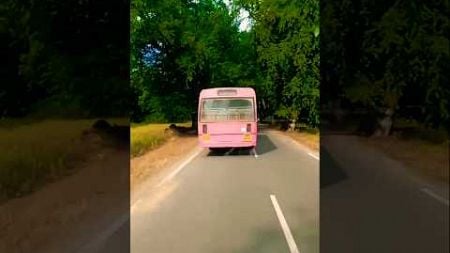 🤣Raja🎗️Bus🤣#youtubeshorts #automobile #vellorebus #rajabus #subscribe#viralvideo#travel#tamilnadubus