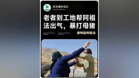 老者到工地帮阿祖法出气，暴打母猪 #伊朗游牧民生活