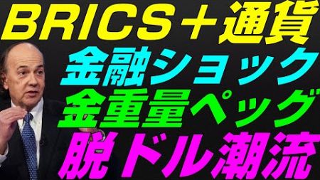 【米国株】LTCM破綻交渉人『50年来金融ショック』BRICS通貨同盟と金ペッグ！脱ドルと地政学リスク景気後退リセッション暴落FRB政策NASDAQ100レバナスS&amp;P500投資ナスダック経済ニュース