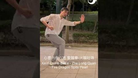 XinYi LiuHe BaFa - Zhe Long Quan #6-#7 #心意六合ハ法 蟄龍拳 第六式 第七式 #shorts #kungfu #六合八法