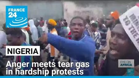 Anger meets tear gas as Nigeria hardship protests fizzle out • FRANCE 24 English