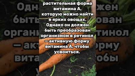 Шокирующие факты о витамине А #здоровье #пп #питание #похудение #vitamin #short