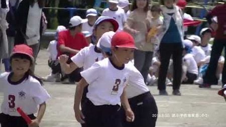 20160530武小学校３年体育祭