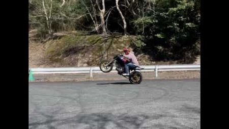 めちゃウィリーできた　#オートバイ #モトブログ #wheelies #motovlog #shorts