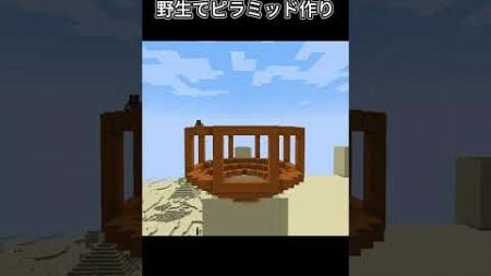 [マインクラフト]野生に巨大なピラミッドを作ります #minecraft #shorts #マインクラフト