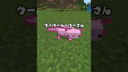 ウーパールーパーの身を守るマインクラフト