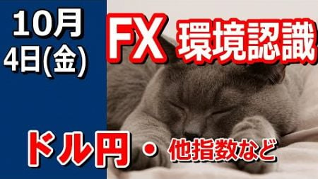 【TAKA FX】ドル円他各通貨の環境認識解説。各種指数、GOLDなど　10月4日(金)