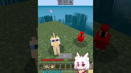 【マインクラフト】海のワンブロック！猫さんのために魚釣る！懐いたw⛩(￣^￣ゞ⛩#shorts #minecraft