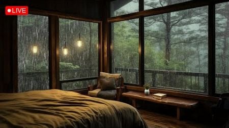 SOOTHING RAIN SOUND in the forest make you sleep well | Rain for Working, Relaxing, Studying