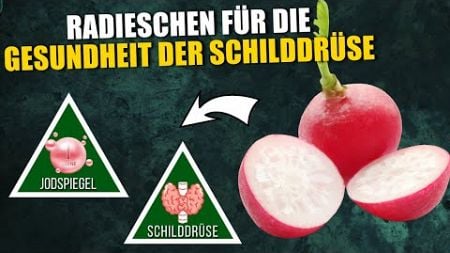 Wie der tägliche Verzehr von Radieschen die Gesundheit der Schilddrüse fördern kann!