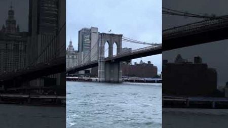 Skyline Downtown Manhattan &amp;. Brooklyn Bridge #travel #reisetipps #usa #nyc #nycvlog #reisen #reise