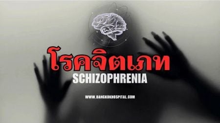 โรคจิตเภท🦠🧬 (วิชาบริการสนเทศทางจิตวิทยา)