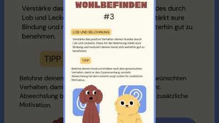 Wohlbefinden #3: Lob und Belohnung stärken die Bindung! 🐶❤️ #hundegesundheit #hundewissen